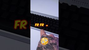 1787571288_maxresdefault.jpg